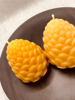 Pinecone Beeswax Candle